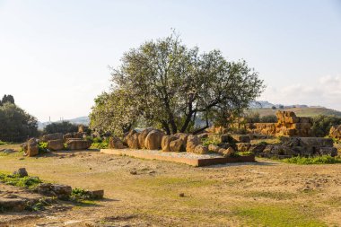 Agrigento Tapınakları Vadisi 'ndeki büyük Olympian Zeus Tapınağı' nın görkemli Telamon 'u.