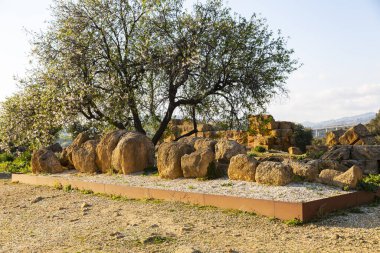 Agrigento Tapınakları Vadisi 'ndeki büyük Olympian Zeus Tapınağı' nın görkemli Telamon 'u.
