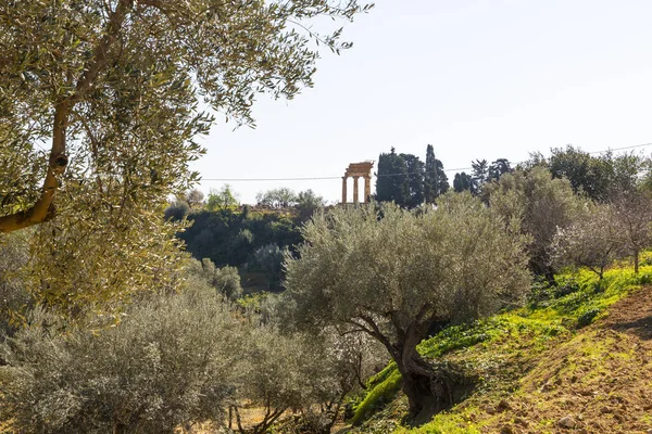 Temple Dioscuri Seen Kolymbetra Garden Agrigento Sicily — Φωτογραφία Αρχείου