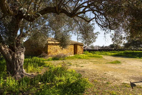 Garden Kolymbetra Archaeological Park Valley Temples Agrigento — Φωτογραφία Αρχείου