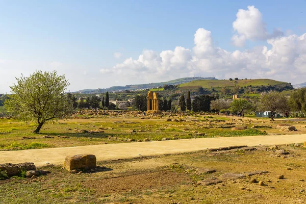 Agrigento Tapınaklar Vadisi Nin Arkeoloji Parkı Kolon Tanrılarının Mabedi Dioscuri — Stok fotoğraf