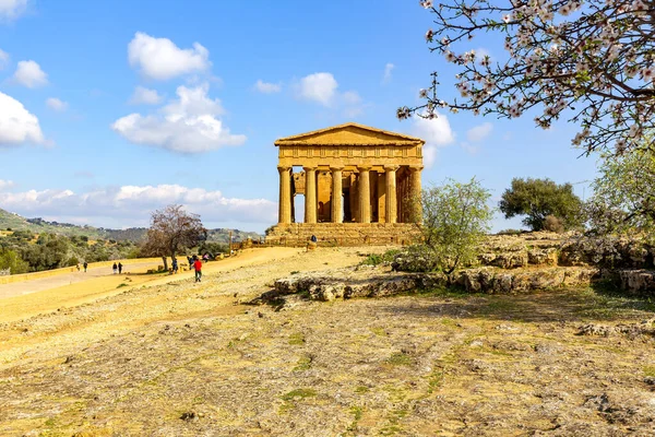 Temple Concordia Agrigento Valley Temples Archaeological Park — Stock Photo, Image