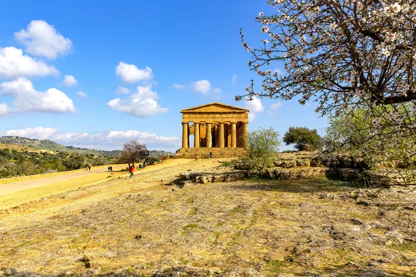 Concordia Tapınağı Agrigento Tapınaklar Vadisi Arkeoloji Parkı — Stok fotoğraf