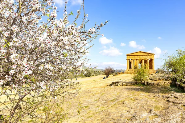 Temple Concordia Agrigento Valley Temples Archaeological Park — Stock Photo, Image