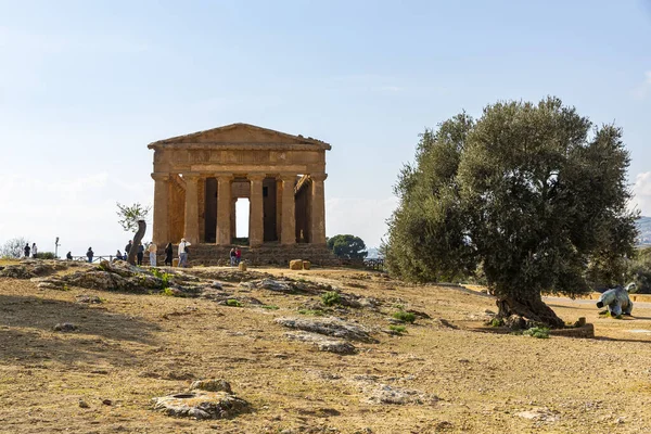 Concordia Tapınağı Agrigento Tapınaklar Vadisi Arkeoloji Parkı — Stok fotoğraf