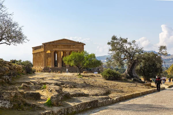 Agrigento Talya 2022 Şubat Konkordiya Tapınağı Agrigento Tapınaklar Vadisi Arkeoloji — Stok fotoğraf