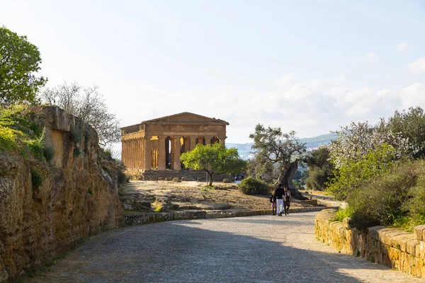 Concordia Tapınağı Agrigento Tapınaklar Vadisi Arkeoloji Parkı — Stok fotoğraf