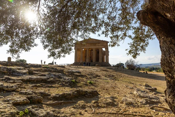 Concordia Tapınağı Agrigento Tapınaklar Vadisi Arkeoloji Parkı — Stok fotoğraf