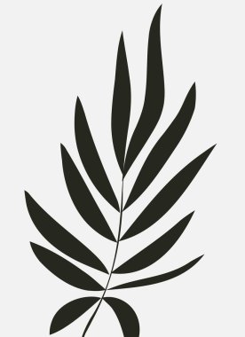 Bitki ve yaprak siluetleri. Soyut siyah-beyaz minimalist poster.