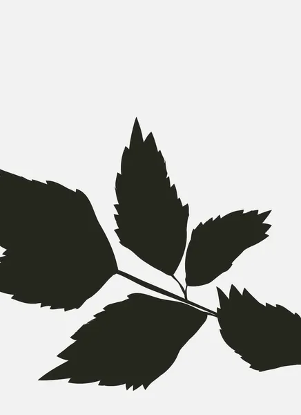 Silhuetas Plantas Folhas Cartaz Minimalista Preto Branco Abstrato — Vetor de Stock