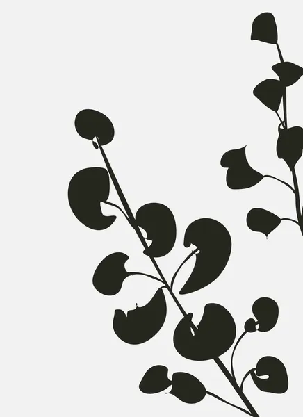 Silhuetas Plantas Folhas Cartaz Minimalista Preto Branco Abstrato — Vetor de Stock