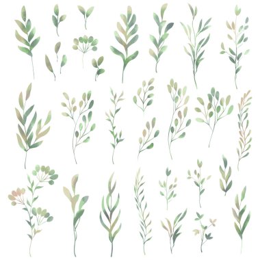 Bahar yaprakları. Bir suluboya tarzında tasarım için Clipart ögeleri kümesi.