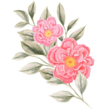 Bahar çiçeği buketi. Davetiye tasarımı ve tebrik kartları için izole edilmiş botanik çizimleri. Pembe ve beyaz kır çiçeklerinin bileşimi.