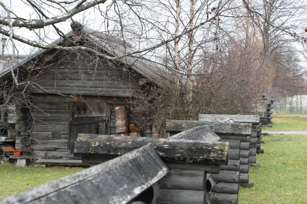 Пізня Осінь Російському Селі — стокове фото