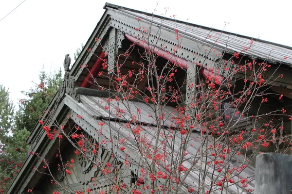 古い家を背景に赤い山灰 — ストック写真