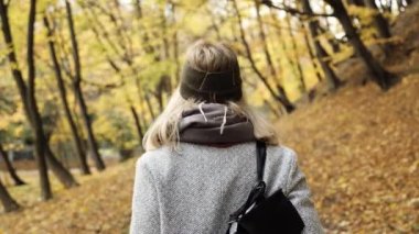 Arka plan portresi muhteşem doğal güzellikteki güzel sarışın bayan sonbahar ormanı arasında kameraya bakıyor. Elinde sarı yapraklı kadın dışarıda eğleniyor..