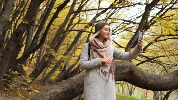 Belle fille ayant appel vidéo dans le parc d'automne avec des feuilles jaunes, agitant la main à la caméra, souriant. Joyeuse blogueuse communique en ligne à l'extérieur. Femme heureuse jouit de la liberté dehors — Video