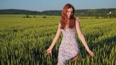 Kızıl kadın gün batımında buğday tarlasında yürüyor, elleriyle yeşil buğday başaklarına dokunuyor. Dişi el, güneşte tarlada buğday kulaklarına dokunuyor. Tarımda büyüyen ekinler, yeşil filizler