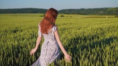 Kızıl kadın gün batımında buğday tarlasında yürüyor, elleriyle yeşil buğday başaklarına dokunuyor. Kızıl saçlı kız kameraya dönüp gülümsüyor. Tarımda ekinler, güzel manzaralar..