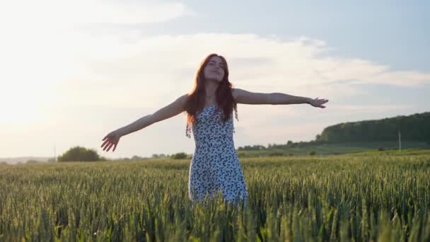 Жінка Натуральної Краси Джинджер Насолоджується Красивою Природою Зеленому Полі Червоноволоса — стокове відео