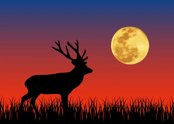 Deer in the night — Stock Vector