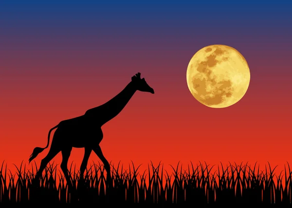 Giraffe in de nacht — Stockvector