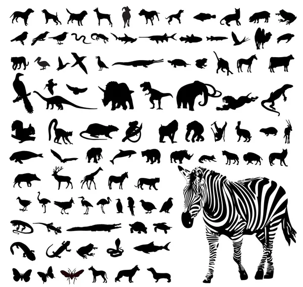 Animales — Vector de stock