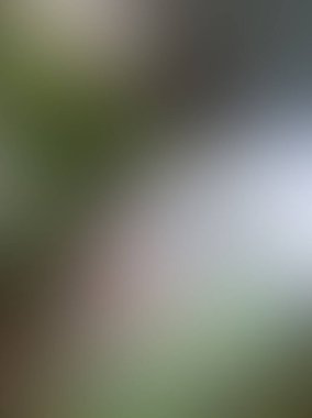 soyut bulanık resim arkaplanı ışık saçar ve ampul yanar