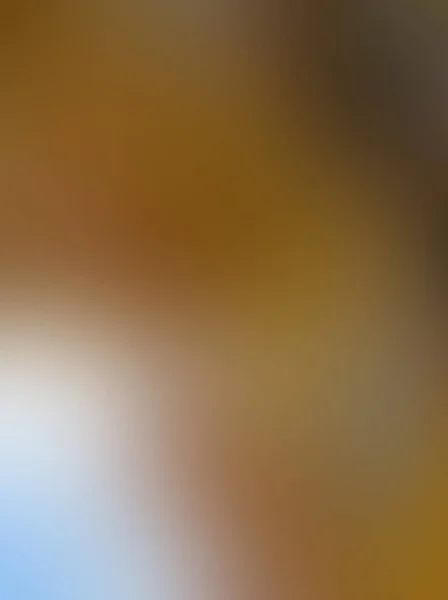 Абстрактний Розмитий Фон Світлим Боке Лампочкою Полум — стокове фото