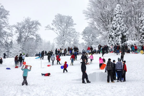 Diversión en la nieve — Foto de Stock