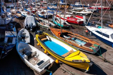 north berwick kalabalık limanda