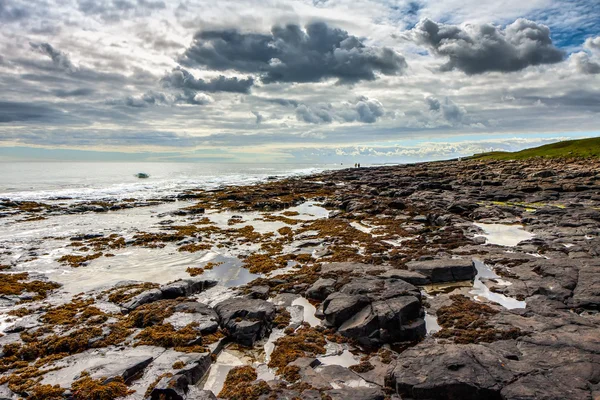 Vue du rivage rocheux près du château de Dunstanburgh — Photo