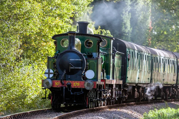 Festival di vapore alla BlueBell Railway 2010 — Foto Stock