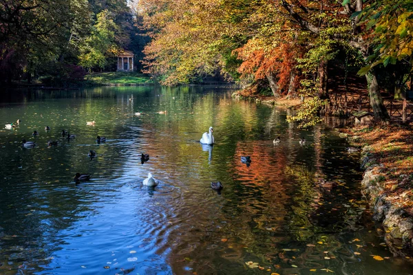 秋天的场景，在湖在帕尔迪意大利蒙扎 — 图库照片