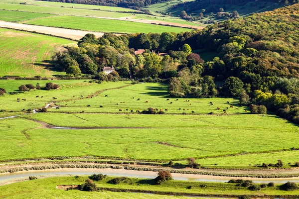 Malerischer Blick auf die sanfte Landschaft von Sussex — Stockfoto