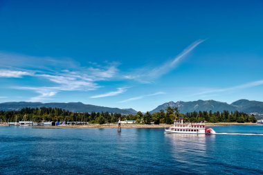 산호 근처 외륜 밴쿠버 하버