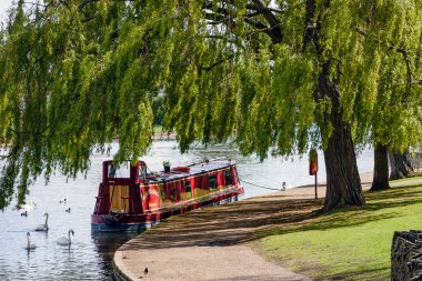 Narrow boat moored under a willow tree in Windsor clipart