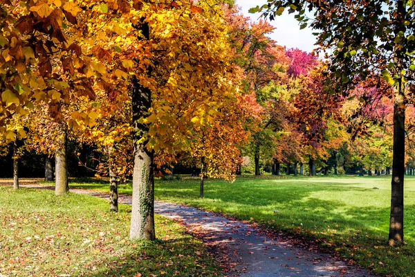 Odcienie jesieni w parco di monza Włochy — Zdjęcie stockowe