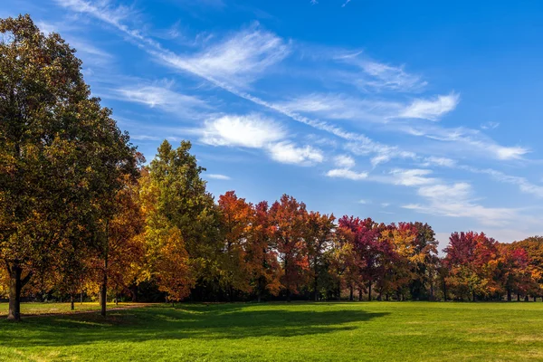 Teintes d'automne au Parco di Monza Italie — Photo
