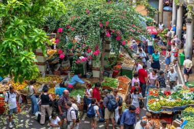 funchal pazarda hareketli: madeira