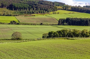 Drumderfit yakınlarındaki ekilebilir arazi
