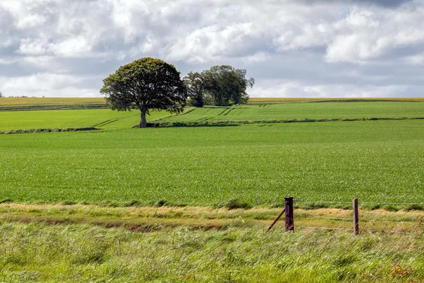 Ackerland in der Nähe von munlochy — Stockfoto