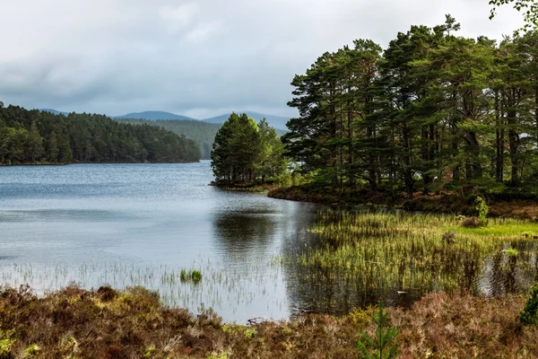 Malerischer Blick auf loch eilein — Stockfoto