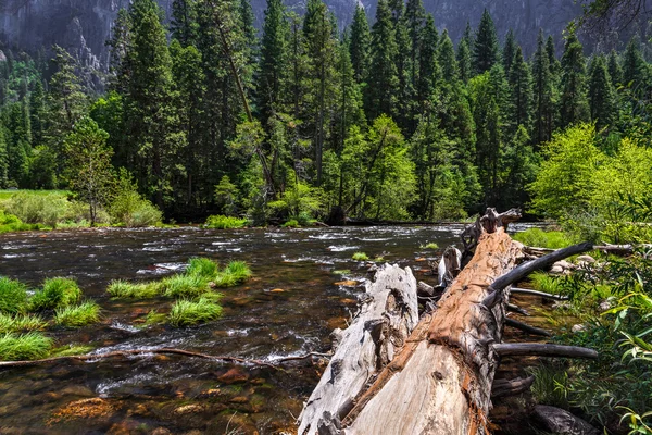 Paisaje Yosemite —  Fotos de Stock