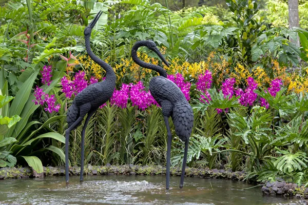 Jardín Botánico de Singapur — Foto de Stock