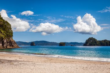 Hahei beach