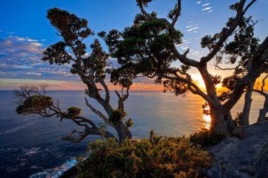 Te Pare Noktasında Gün Doğumu