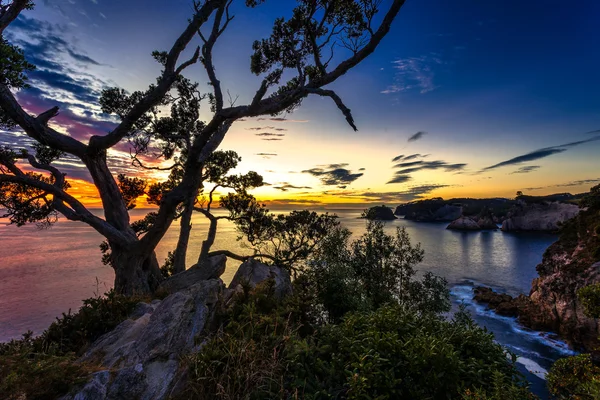 Salida del sol en Te Pare Point — Foto de Stock