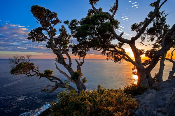 Salida del sol en Te Pare Point — Foto de Stock