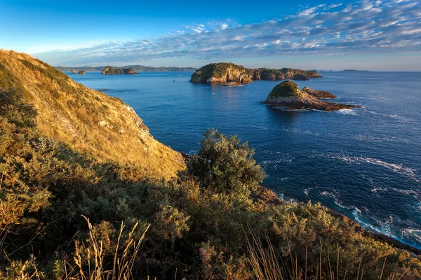 Coromandel-Küste — Stockfoto